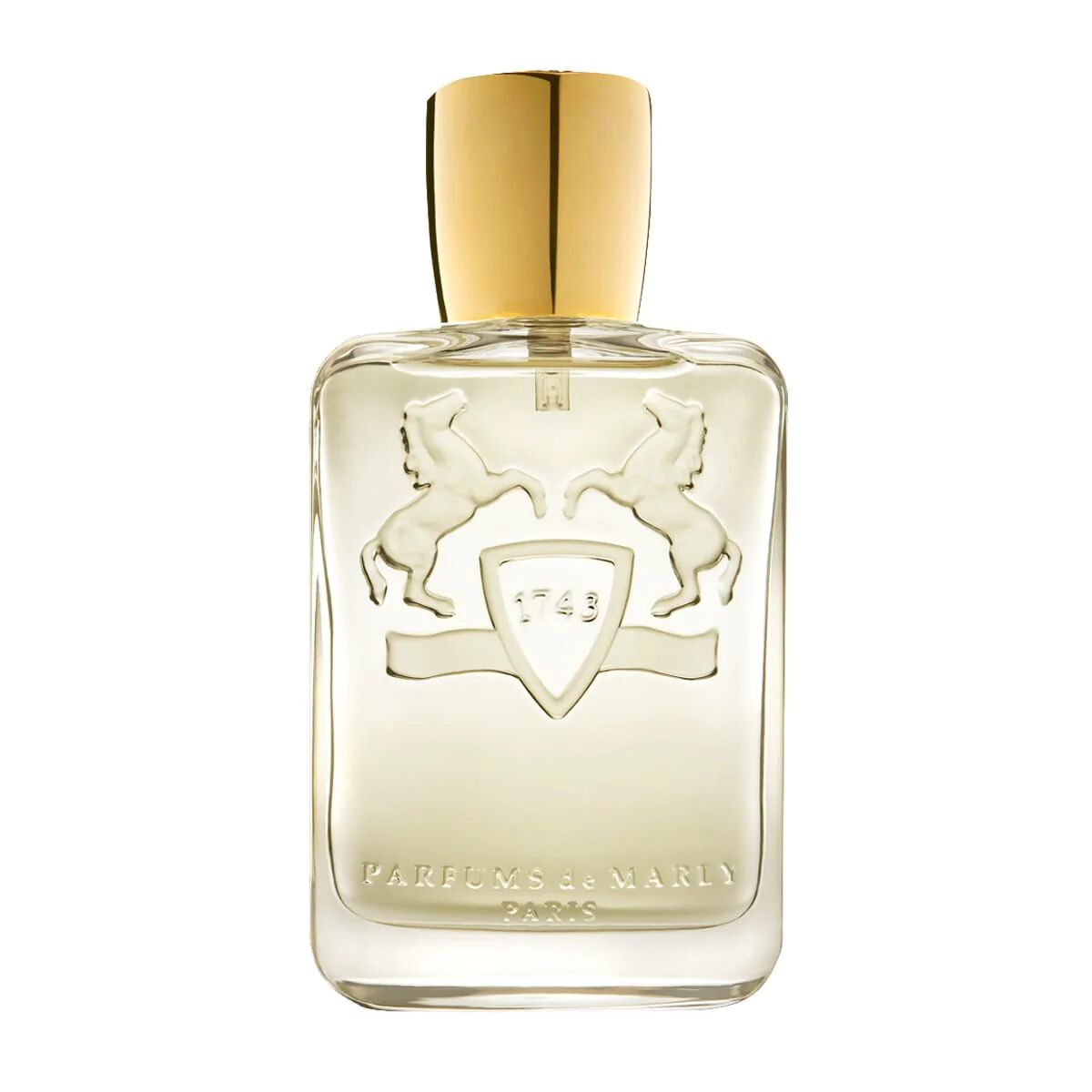 Ανδρικό Άρωμα Parfums de Marly EDP Darley 125 ml φωτογραφία